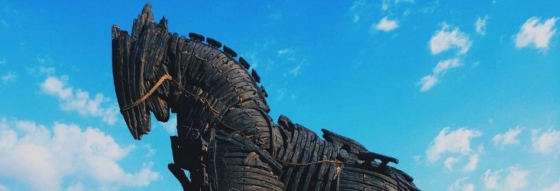 Excursions and walks